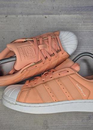 Кеды adidas superstar