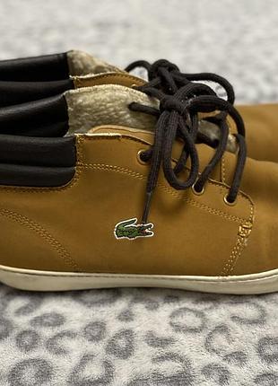 Фірмові зимові / утеплені черевики lacoste