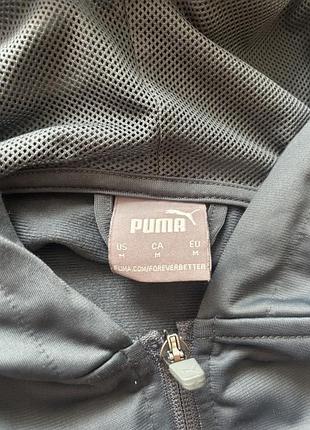 Кофта чоловіча puma сіра 5