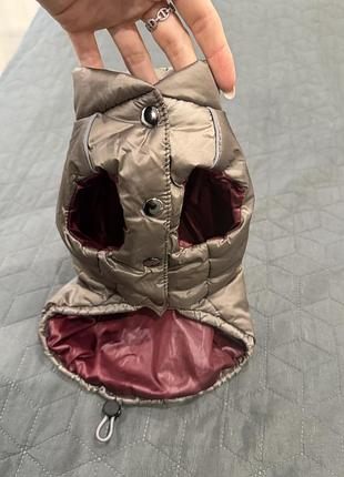 Жилетка для собак pet fashion демісезонна водовідштовхувальна з утеплювачем