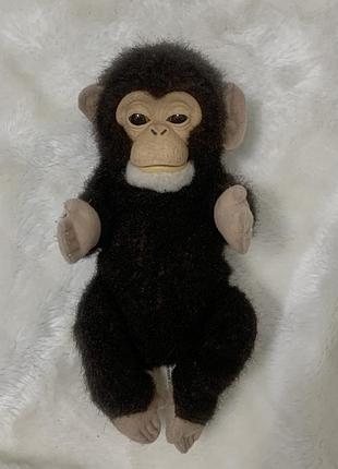 Інтерактивна іграшка мавпочка furreal friends newborn chimp hasbro (оригінал)