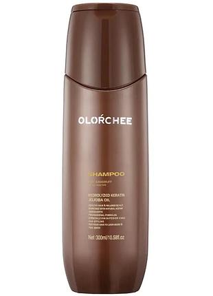 Шампунь проти лупи olorchee anti dandruff shampoo 300 мл