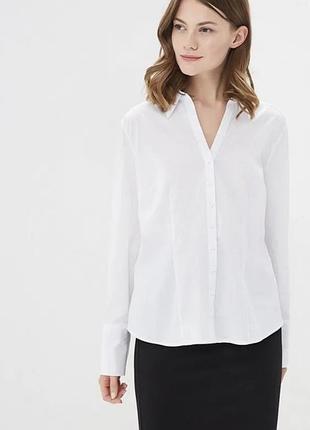 Біла базова сорочка, xl xxl