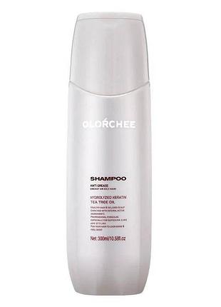 Шампунь проти жирності волосся та шкіри голови olorchee anti grease shampoo 300 ml