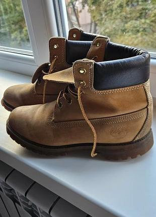 Timberland 6 inch premium у фірмовому  рудому/жовтому кольорі (wheat).  стовідсотковий оригінал!