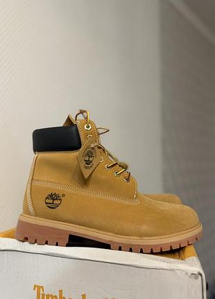 Черевики чоловічі timberland men's premium 6-inch waterproof boot yellow