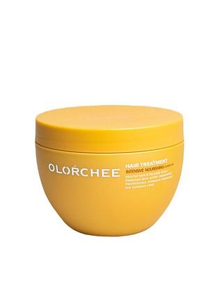 Незмивна маска olorchee intensive nourishing leave-in hair treatment для живлення і зволоження волосся, 250 мл