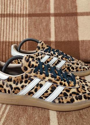 Женские кроссовки adidas spezial