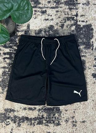 Шорти puma