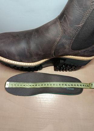Черевики челсі ecco eliana 38,39р. 9
