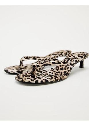 Мюлі zara kitten heel босоніжки леопардові на підборах рюмочка вʼєтнамки