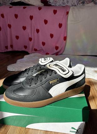 Puma palermo premium 2