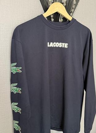 Світшот чоловічий lacoste синій розмір l