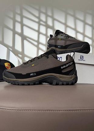 Водонепроникні кросівки salomon shelter gtx brown black