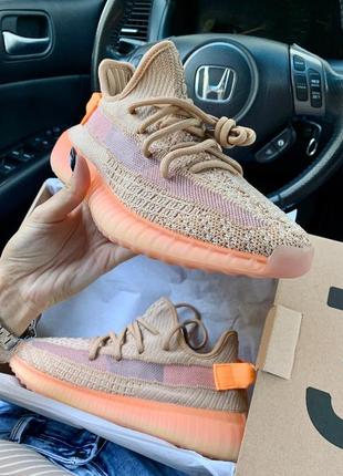 Кроссовки adidas yeezy boost 350 v2 clay7 фото