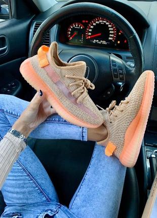 Кроссовки adidas yeezy boost 350 v2 clay8 фото