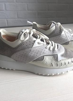 Чудові шкіряні кросівки tod's