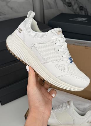 Стильні класичні кросівки skechers bobs sparrow 2.0