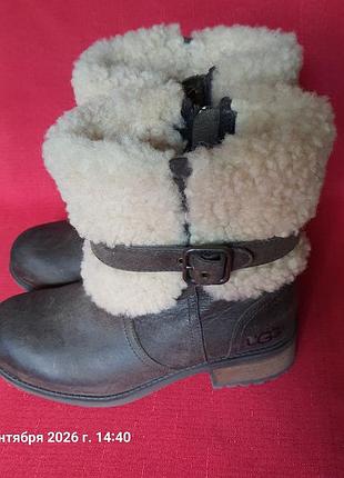 Ugg australia оригинал!теплые зимние натуральные угги на толстой овчине