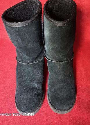 Ugg australia оригинал!теплые зимние натуральные угги на танкетке