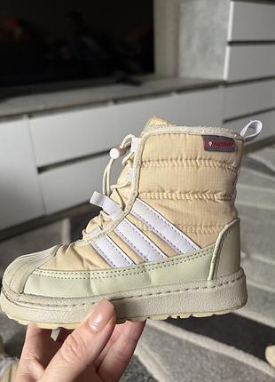 Adidas обувь на осень/зима