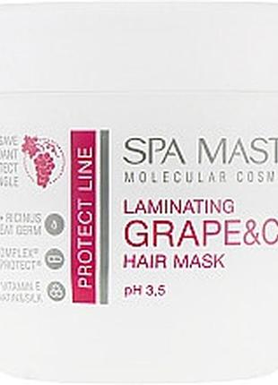 Ламінувальна маска для захисту волосся з виноградом і чіа spa master laminat grape hair 500 мл sm 205