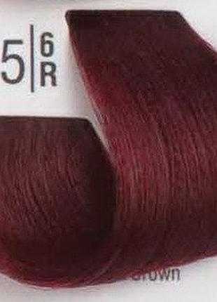 Професійна фарба для волосся 5/6r світлий червоний шатен spa master professional cream color 100 мл