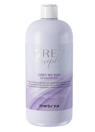 Шампунь тонуючий для натурального сивого та блондованного волосся inebrya grey by day shampoo 1000 мл