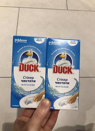 Duck ocean