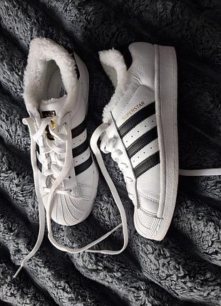 Кросівки adidas superstar білі з чорними смужками та хутром
