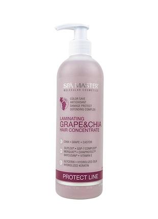 Ламінуючий концентрат для захисту волосся з виноградом та чіа spa master professional sm 204 330мл