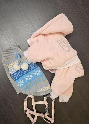 Одяг і шлейка trixie для маленького собаки/черевина, розмір xs