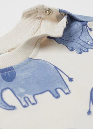 Котонові світшоти h&m 🔥під замовлення🔥 2