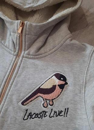Lacoste, кофта, куртка 2