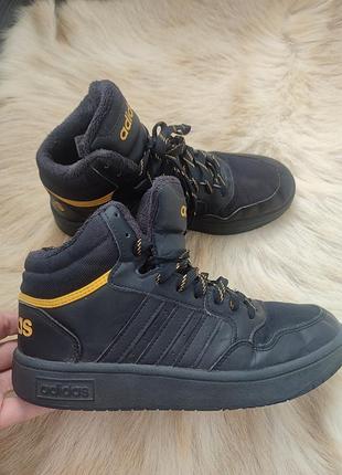 Высокие кроссовки хайтопы adidas hoops 3.0 mid wtr