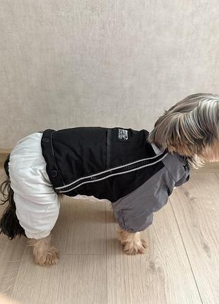 Зимовий костюм для собак
