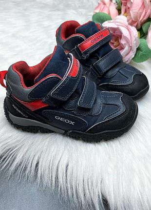 Черевики geox р.24