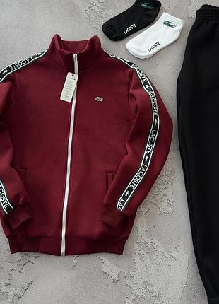 Спортивний костюм lacoste зимовий, чоловічий спортивний костюм на флісі, костюм лакост з кофтою та штанами