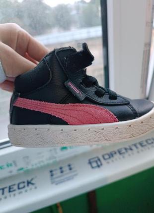 Хайтопи puma 22 3