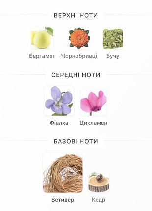 Bal d`afrique  байредо 3