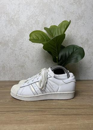 Жіночі шкіряні кросівки adidas superstar розмір 37