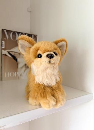 Мягкая игрушка собака чихуахуа uni-toys