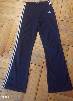 Жіночі спортивні штани adidas