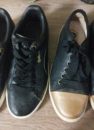 Кеди жіночі lanvin та puma brooklyn nite  37 розмір, шкіра