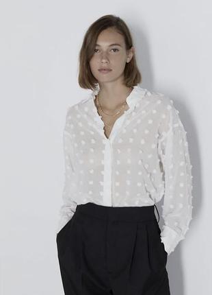Жіноча сорочка zara айворі з фактурними крапочками, розмір l