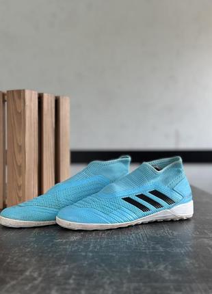 Сороконіжки adidas 3