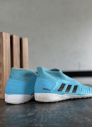 Сороконіжки adidas 5