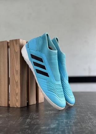 Сороконіжки adidas