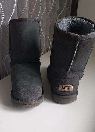 Уггі жіночі ugg сірі