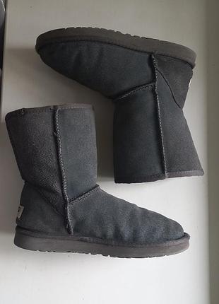 Уггі жіночі ugg сірі 2